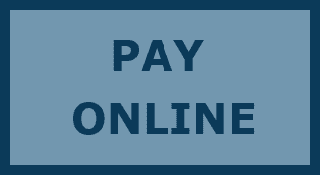 Pay Your Auto Insurance Online