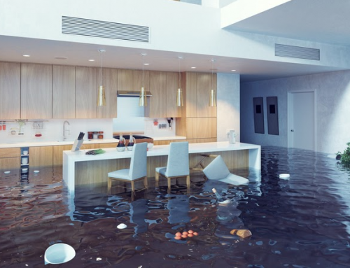 Should I Purchase Flood Insurance?